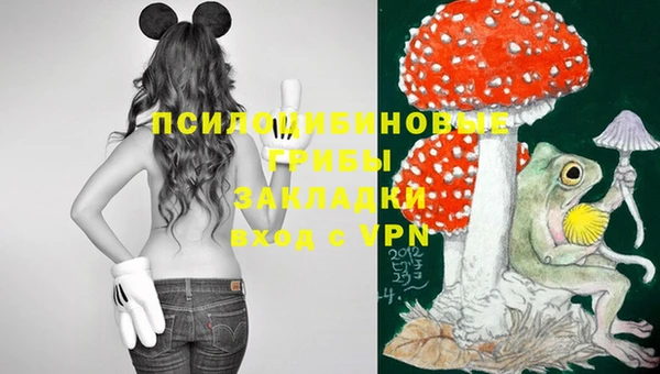 дмт Алзамай